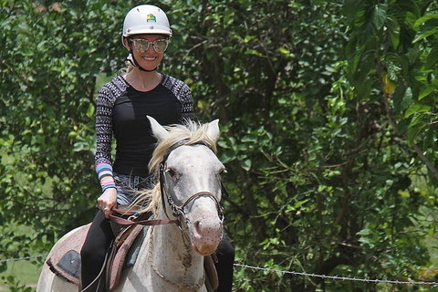 Blazing Saddles Horse Riding - Attractions Sydney 9