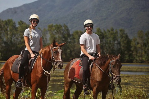 Blazing Saddles Horse Riding - Attractions Sydney 6