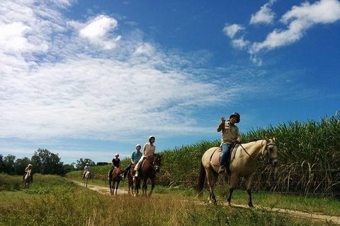 Blazing Saddles Horse Riding - Attractions Sydney 4