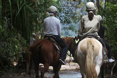 Blazing Saddles Horse Riding - Attractions Sydney 2
