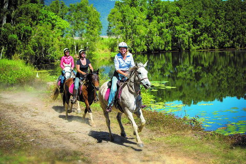 Blazing Saddles Horse Riding - Attractions Sydney 8