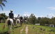 Blazing Saddles Horse Riding - thumb 3