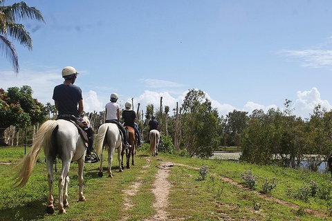 Blazing Saddles Horse Riding - Attractions Sydney 3