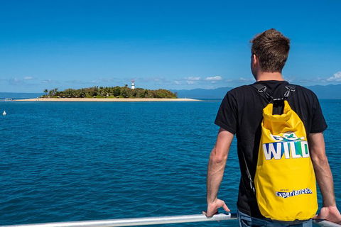 Half Day Low Isles Snorkelling Tour From Port Douglas - Attractions Sydney 5