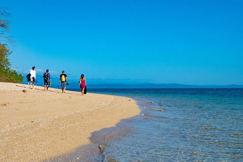 Half Day Low Isles Snorkelling Tour From Port Douglas - Attractions Sydney 3