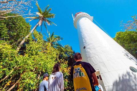 Half Day Low Isles Snorkelling Tour From Port Douglas - Attractions Sydney 7