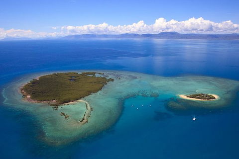 Half Day Low Isles Snorkelling Tour From Port Douglas - Attractions Sydney 4