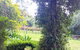 Deluxe Winery Tour To Tamborine Mountain, Includes Gourmet Two Course Lunch - thumb 4