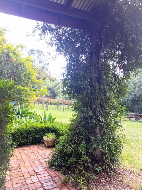 Deluxe Winery Tour To Tamborine Mountain, Includes Gourmet Two Course Lunch - Attractions Sydney 4