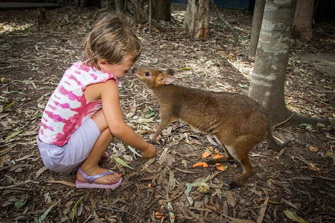 Hartley's Crocodile Adventures Day Trip From Cairns - Attractions Sydney 1