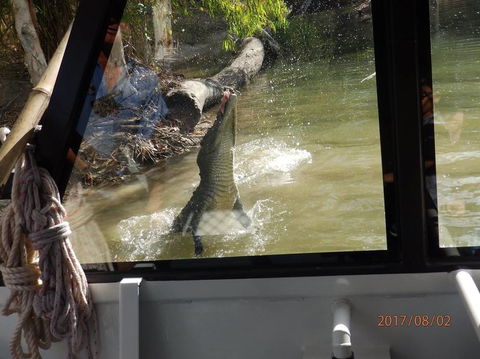 Hartley's Crocodile Adventures Day Trip From Cairns - Attractions Sydney 5