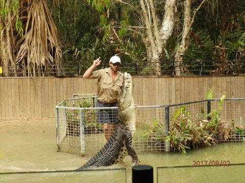 Hartley's Crocodile Adventures Day Trip From Cairns - Attractions Sydney 2