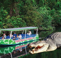 Daintree River Cruise - Attractions Sydney