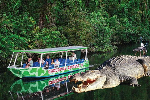 Daintree River Cruise - Attractions Sydney 0