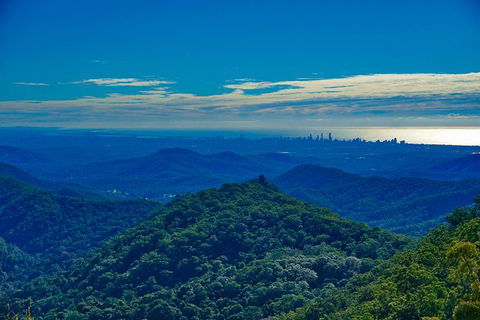 Rainforest & Waterfalls Extravaganza - Attractions Sydney 6