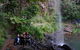 Rainforest & Waterfalls Extravaganza - thumb 9