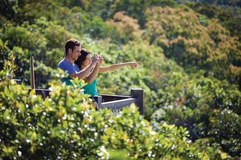 Conway National Park Coral Beach Walk Including Shute Harbour From Airlie Beach - Attractions Sydney 0