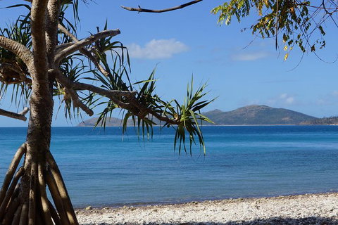 Conway National Park Coral Beach Walk Including Shute Harbour From Airlie Beach - Attractions Sydney 1