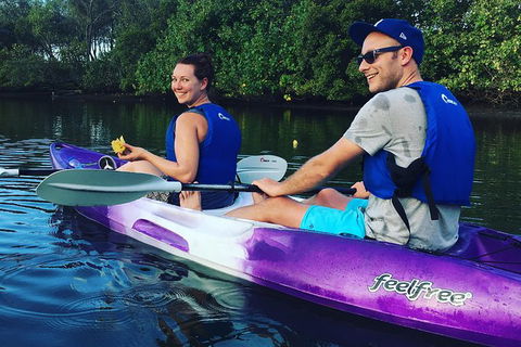 Surfers Paradise Sunset Kayak Tour - Attractions Sydney 10