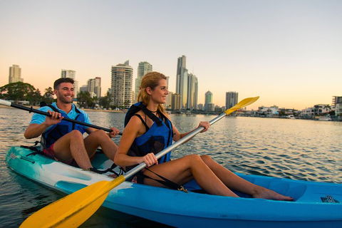 Surfers Paradise Sunset Kayak Tour - Attractions Sydney 6