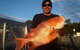 Whitsunday Islands And Great Barrier Reef Fishing Charters - thumb 0