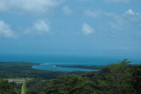 Cape Tribulation, Daintree Rainforest And Wildlife Tour - Attractions Sydney 7