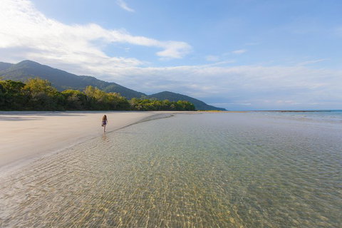 Cape Tribulation, Daintree Rainforest And Wildlife Tour - Attractions Sydney 6