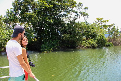 Cape Tribulation, Daintree Rainforest And Wildlife Tour - Attractions Sydney 8