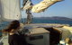 Townsville Early Morning Sailing Cruise Boat Tour - thumb 6