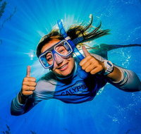 Calypso Outer Great Barrier Reef Cruise from Port Douglas - Attractions Sydney