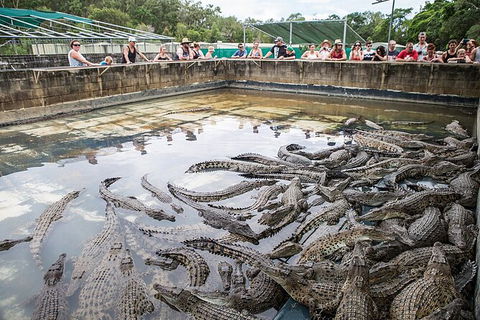Hartley\'s Crocodile Adventures Day Trip From Palm Cove - Attractions Sydney 7