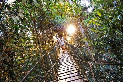 O'Reilly's Lamington National Park And Treetop Canopy Tour - Attractions Sydney 0