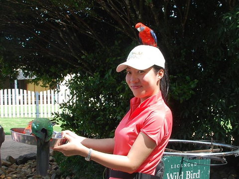 O'Reilly's Lamington National Park And Treetop Canopy Tour - Attractions Sydney 5