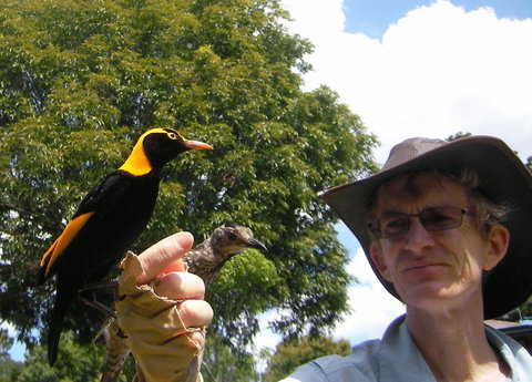 O'Reilly's Lamington National Park And Treetop Canopy Tour - Attractions Sydney 4