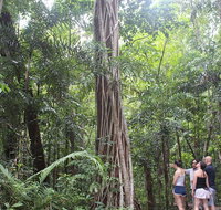 Sightseeing Tour - Half Day - Attractions Sydney