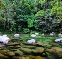 Mossman Silky Oaks to/from Cairns - Attractions Sydney