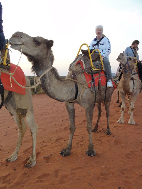 Uluru Small-Group Tour By Camel At Sunrise Or Sunset - Attractions Sydney 2