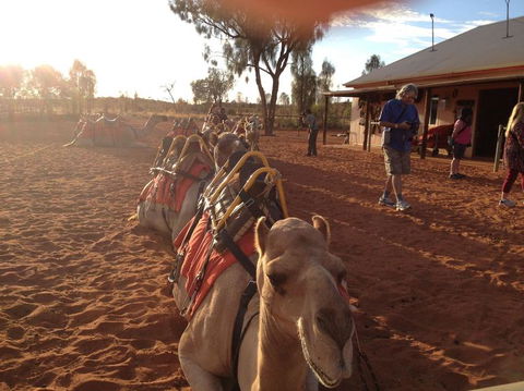 Uluru Small-Group Tour By Camel At Sunrise Or Sunset - Attractions Sydney 22