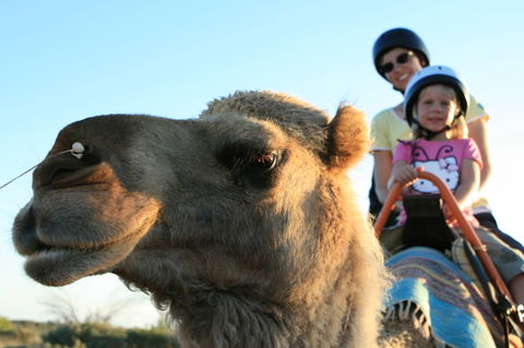 Uluru Small-Group Tour By Camel At Sunrise Or Sunset - Attractions Sydney 3