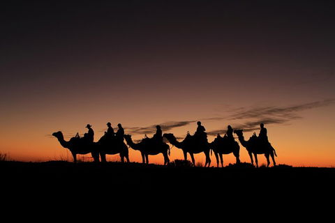 Uluru Small-Group Tour By Camel At Sunrise Or Sunset - Attractions Sydney 27