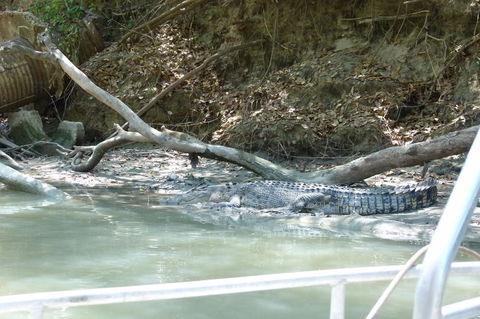 Kakadu Full-Day Tour From Darwin With Lunch - Attractions Sydney 2