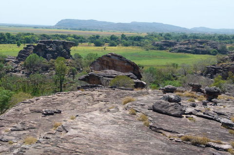 Kakadu Full-Day Tour From Darwin With Lunch - Attractions Sydney 3