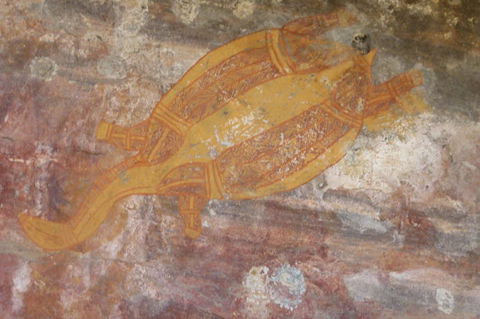 Kakadu Full-Day Tour From Darwin With Lunch - Attractions Sydney 4