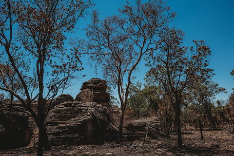 Kakadu Full-Day Tour From Darwin With Lunch - Attractions Sydney 6