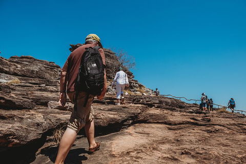 Kakadu Full-Day Tour From Darwin With Lunch - Attractions Sydney 5
