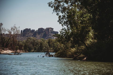 Kakadu Full-Day Tour From Darwin With Lunch - Attractions Sydney 8