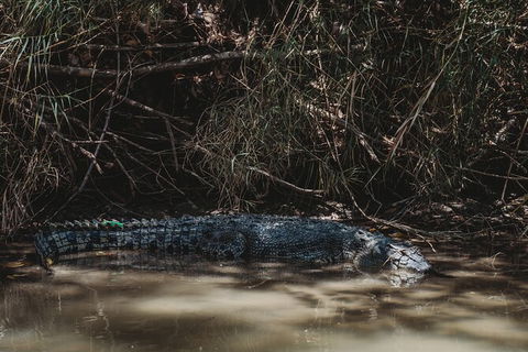 Kakadu Full-Day Tour From Darwin With Lunch - Attractions Sydney 13