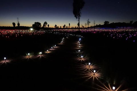 Uluru Field Of Light Sunrise Tour - Attractions Sydney 2
