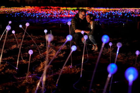 Uluru Field Of Light Sunrise Tour - Attractions Sydney 6