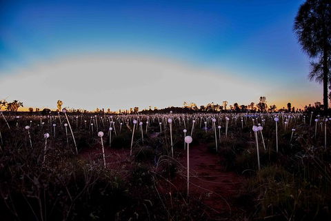 Uluru Field Of Light Sunrise Tour - Attractions Sydney 8